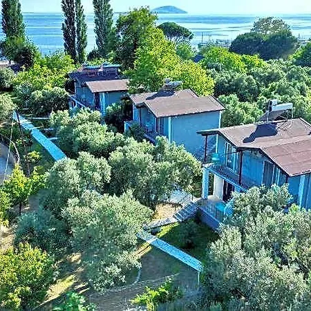 Hotel Adasu *