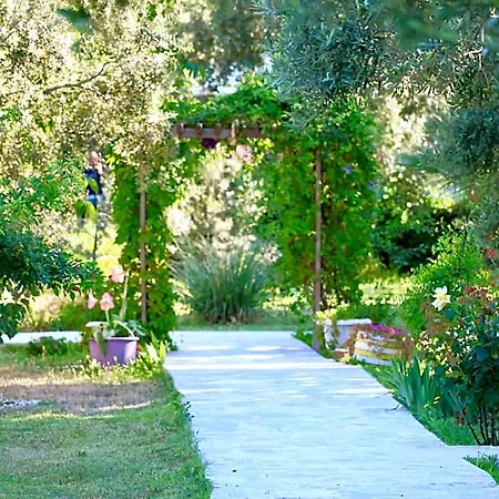 Adasu Marmara Adasi
