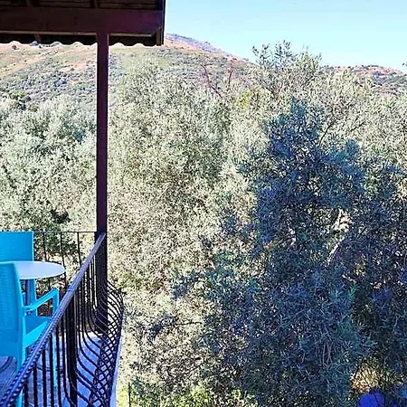 Hotel Adasu *