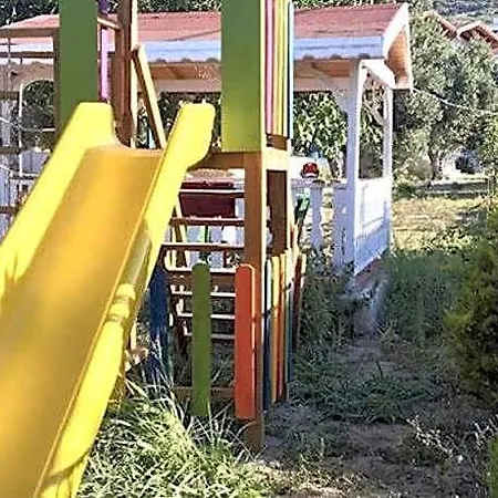 Adasu